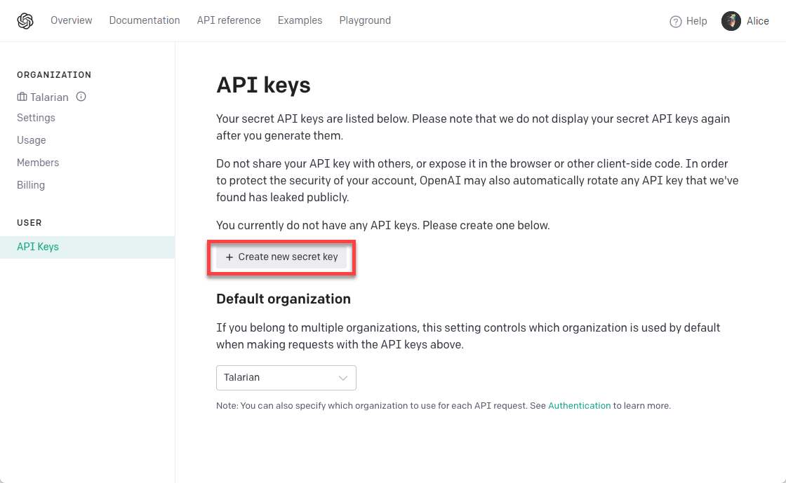 Set Up OpenAI API Keys